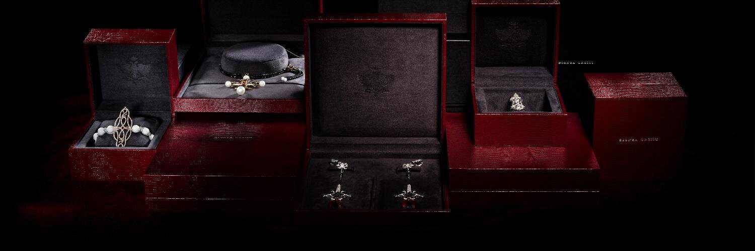 DioneaOrcini's profile banner image