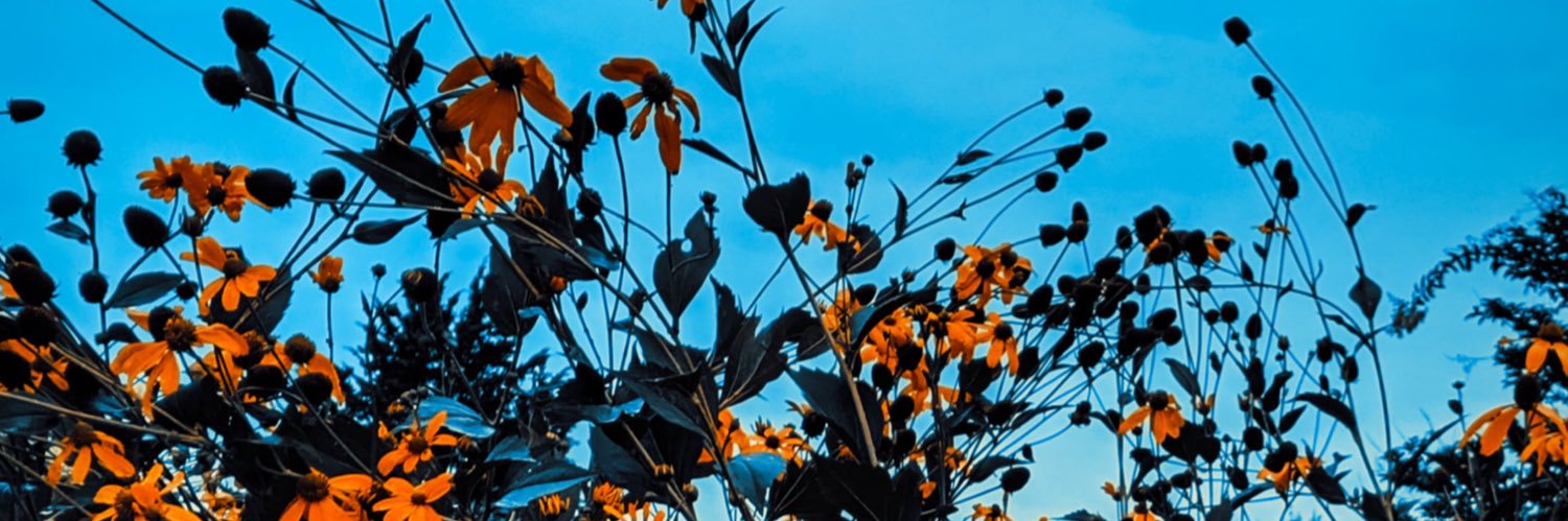 Tatersss_'s profile banner image