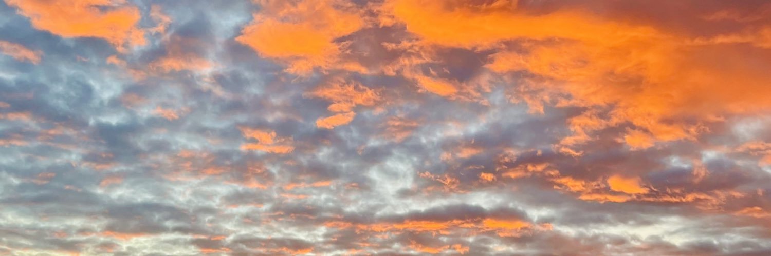 Dr Victoria Buntine banner