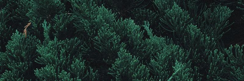 Layoximar's profile banner image