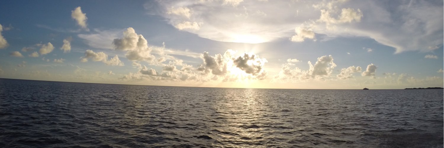 ELTWITT's profile banner image