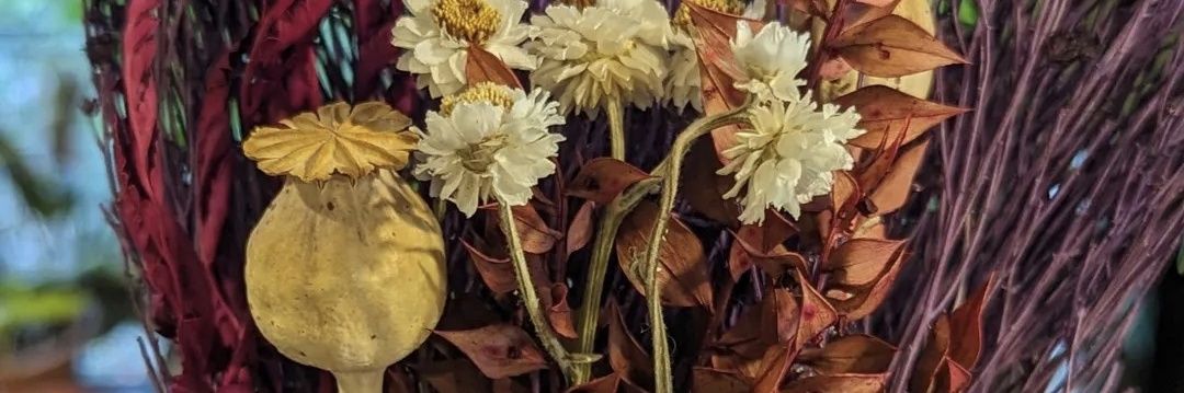 Cactus banner