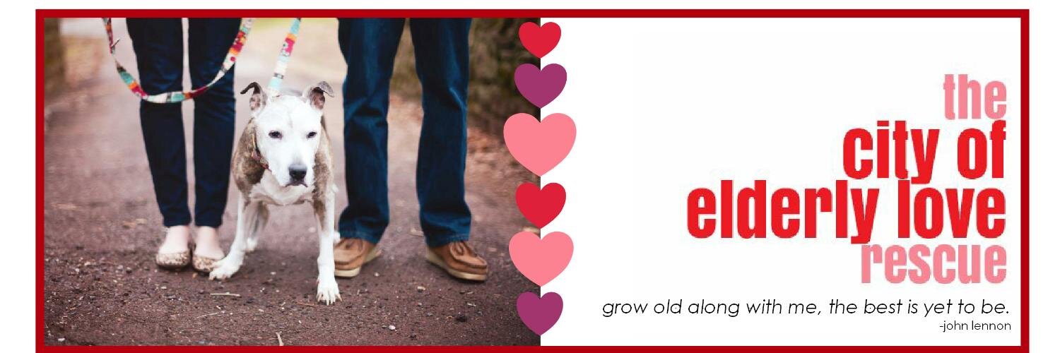 City of Elderly Love banner