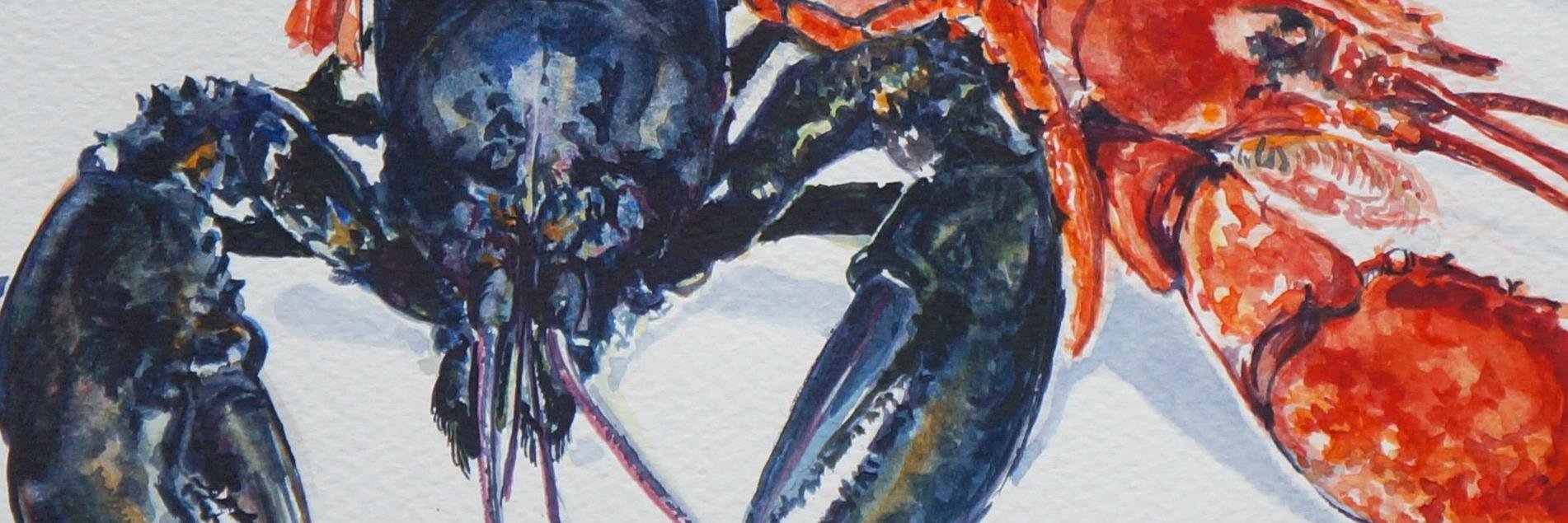 ArthurSimonetti's profile banner image
