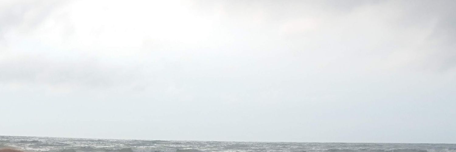 black_bean's profile banner image