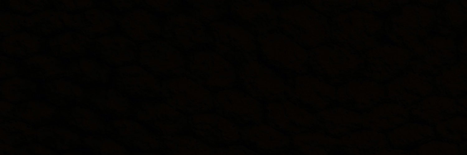 2five2live's profile banner image