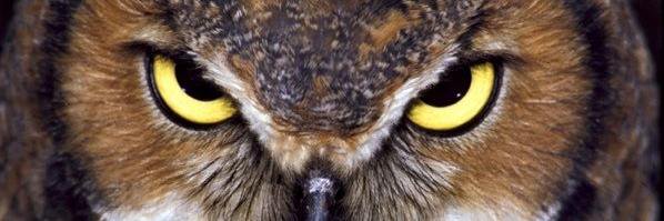 DannyBaVel's profile banner image