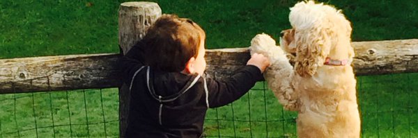 AlexpiersonAMP Profile Banner