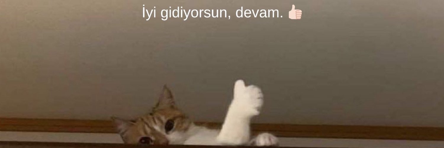 damlaydinn3's profile banner image