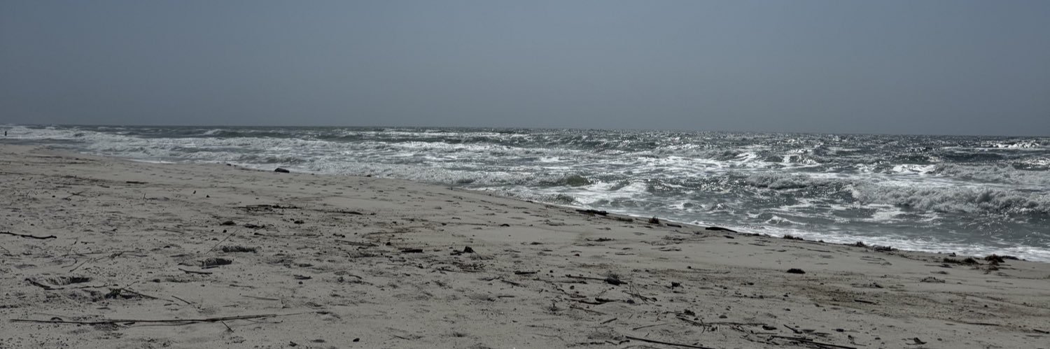 Haley_Williams6's profile banner image