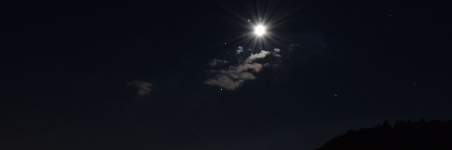 PeliSimoneKoffy's profile banner image