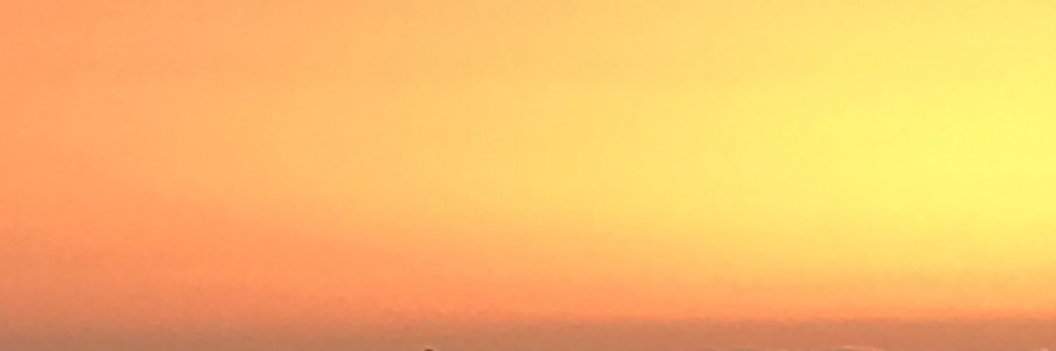 littleme603's profile banner image