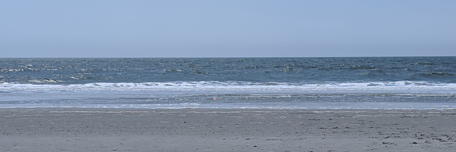 _Bernardini's profile banner image