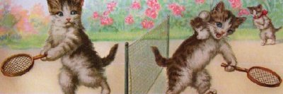 HazyCats's profile banner image