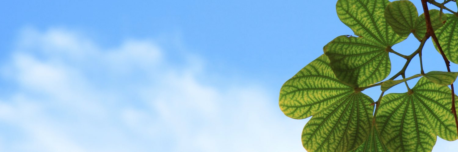 Vapoteket's profile banner image