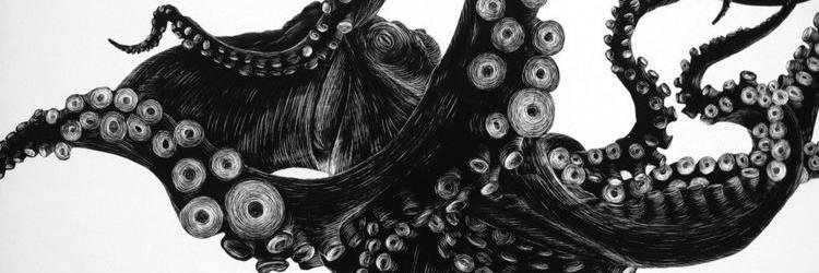 miss_delargeX's profile banner image