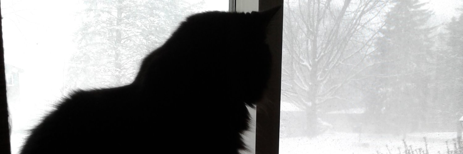 littledipz's profile banner image