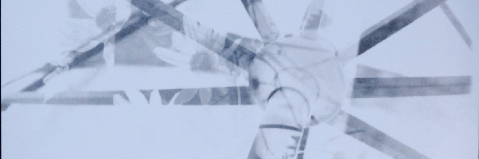 Amendments101's profile banner image
