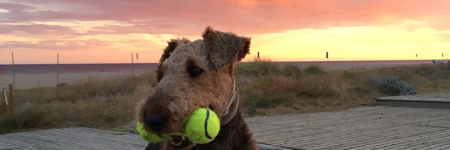 Montserrat Pallarès banner