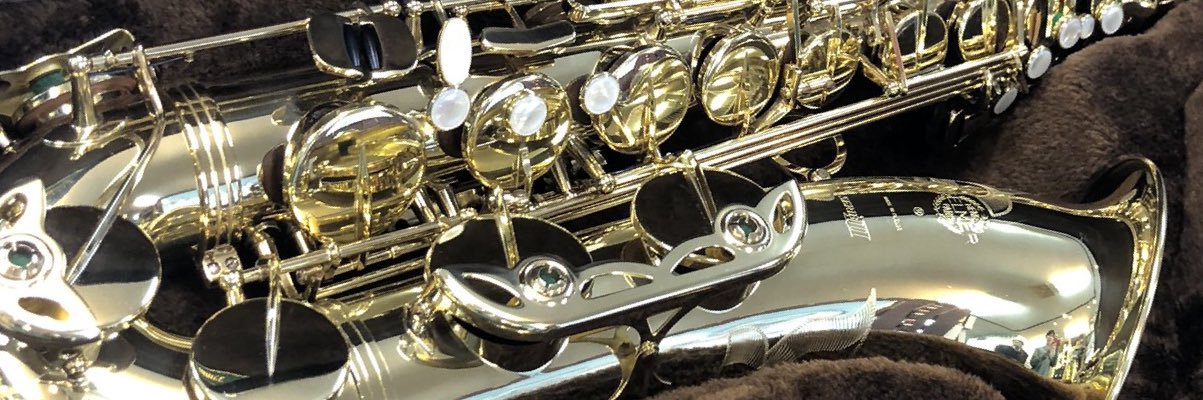sax2401's profile banner image