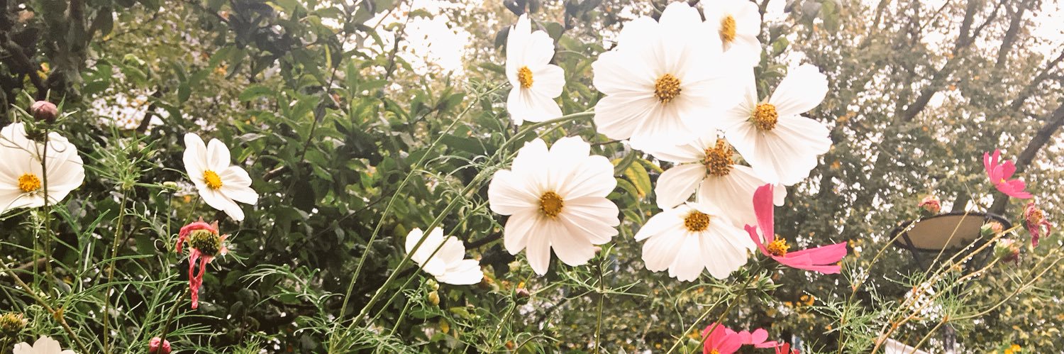 entsei_'s profile banner image