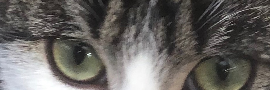 john1760444's profile banner image
