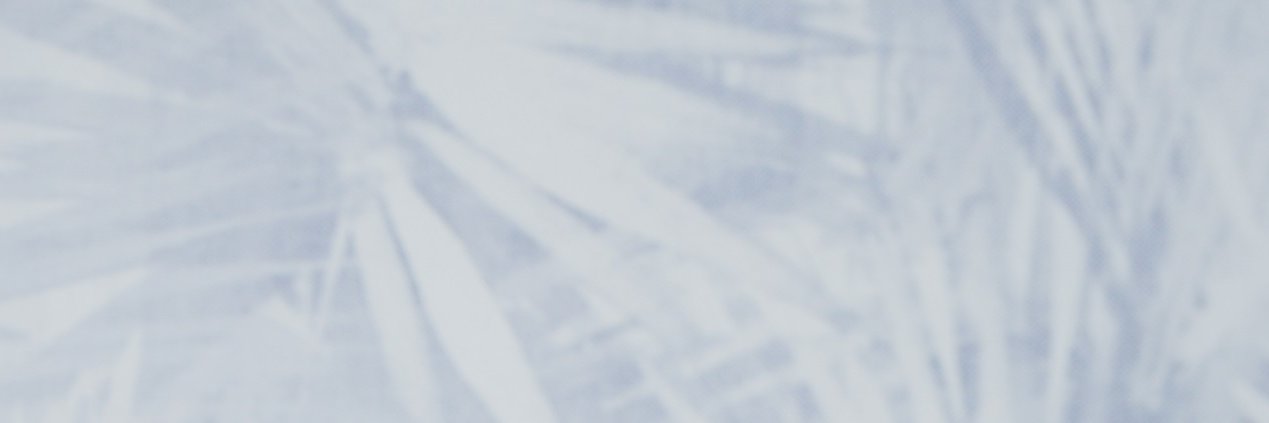 Carolin Hahn banner