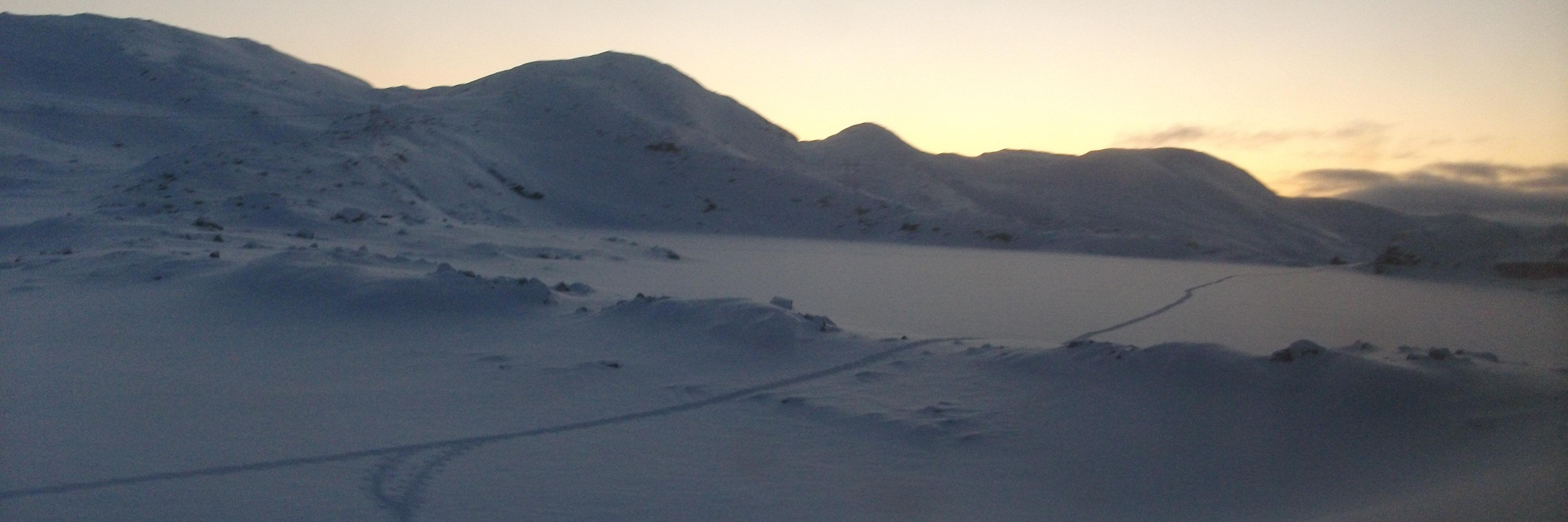 Florence Raynal banner