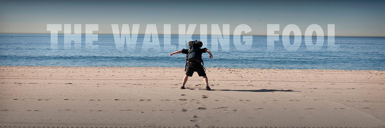 WalkingFoolDoc's profile banner image