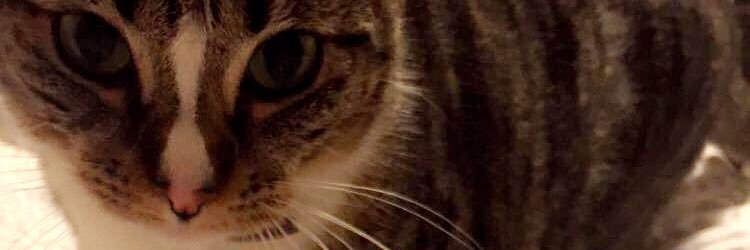 kelsey_m17's profile banner image