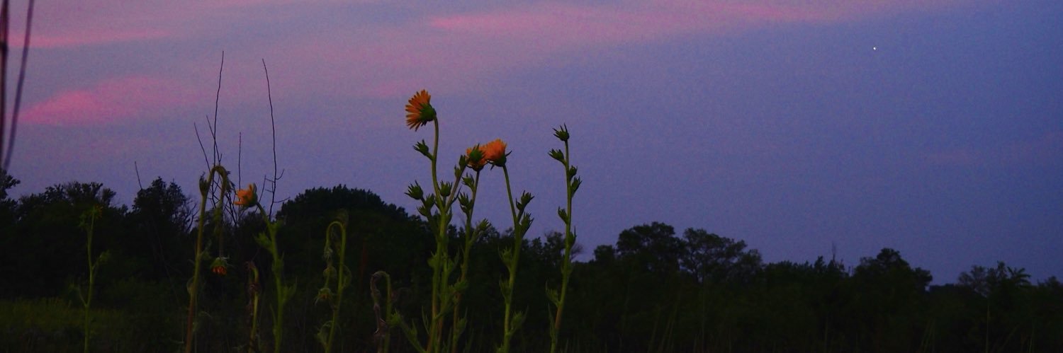 _kierabrown's profile banner image