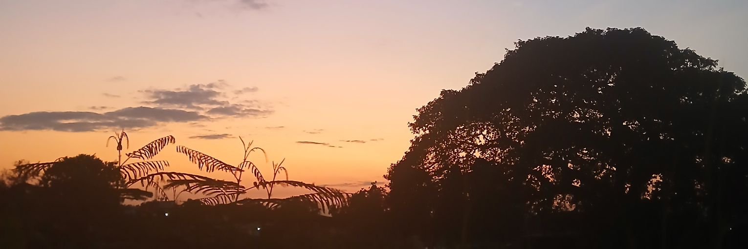 codegrenade's profile banner image