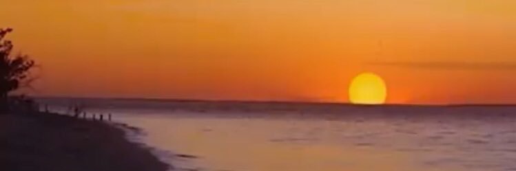 SusuMendees_'s profile banner image