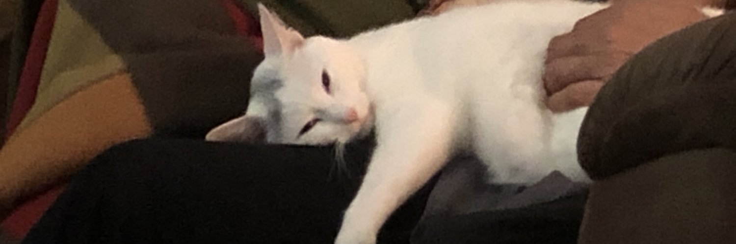 HHemingway68's profile banner image