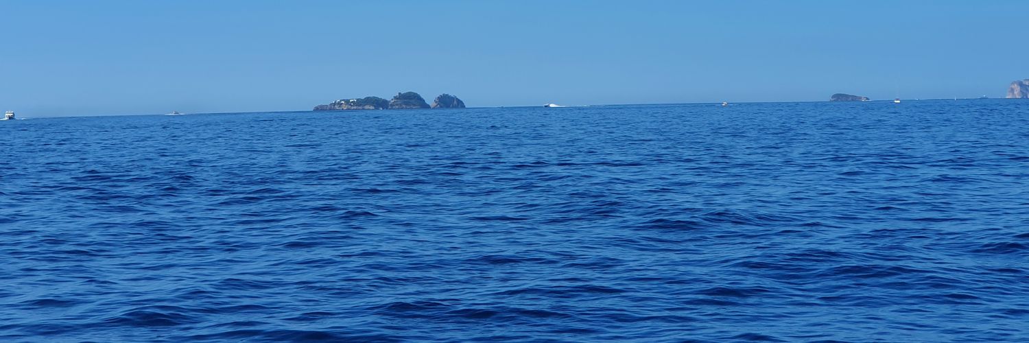 bernervens's profile banner image