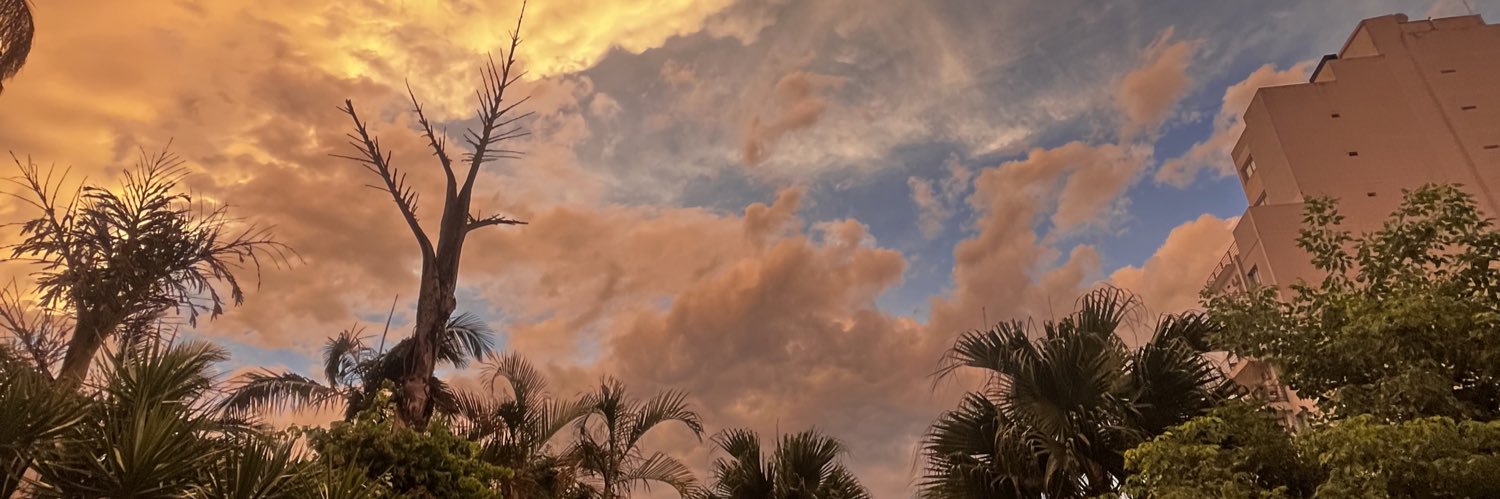 Juan P. Pigliacampo banner