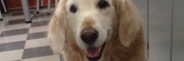 itsmimsy2's profile banner image