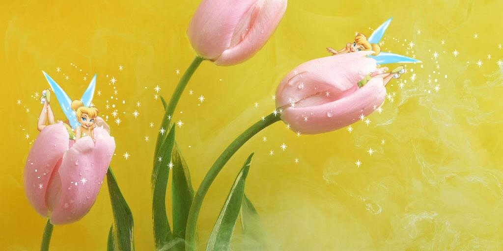 DisneyWorld090's profile banner image