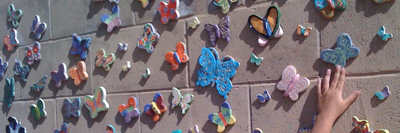 TheButterflyProject banner