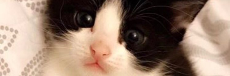 daniellekayyy_'s profile banner image