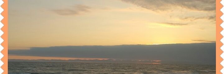 lanitn0490's profile banner image