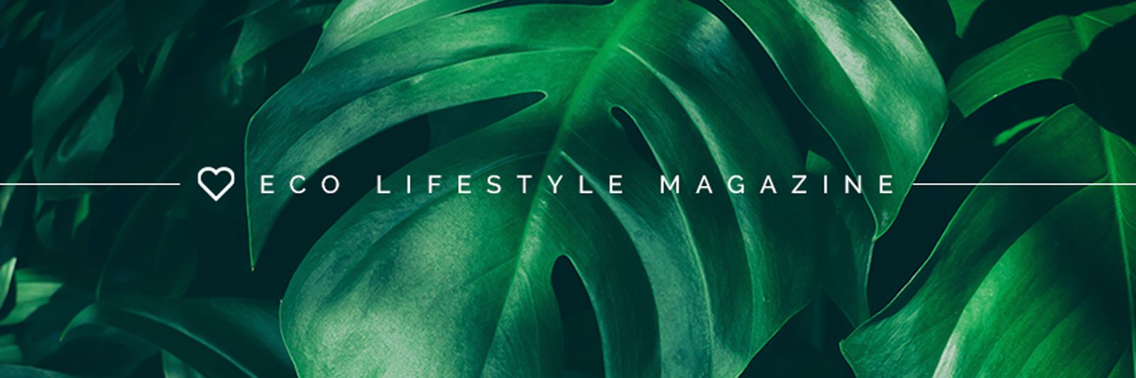 Veganliebe's profile banner image