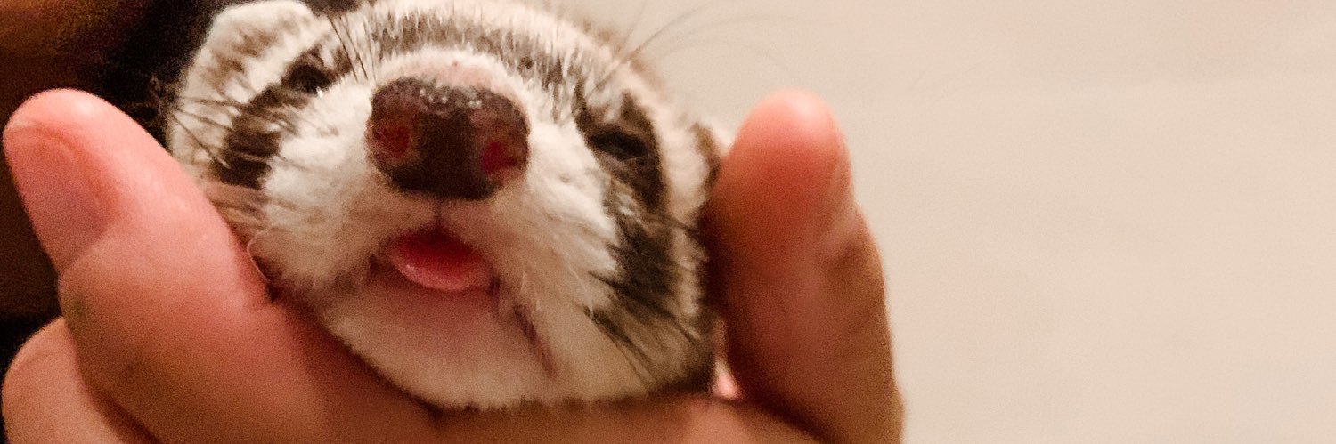 tofuteef's profile banner image