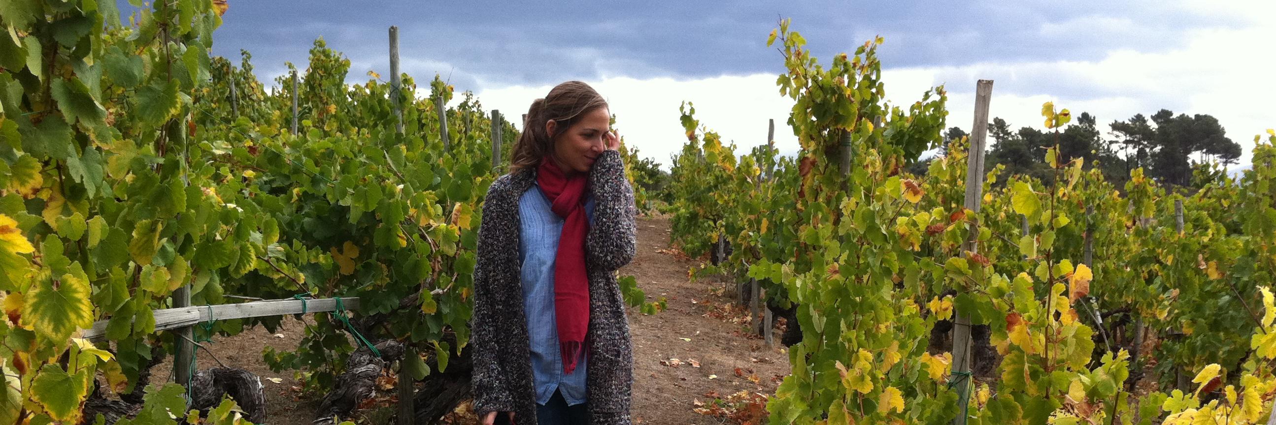 Rocío García Francoy banner