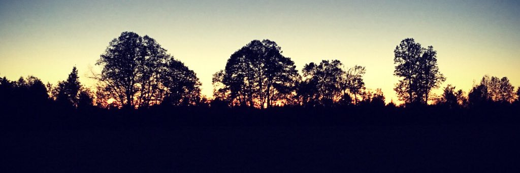 hugh janus banner