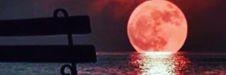 baroood20's profile banner image