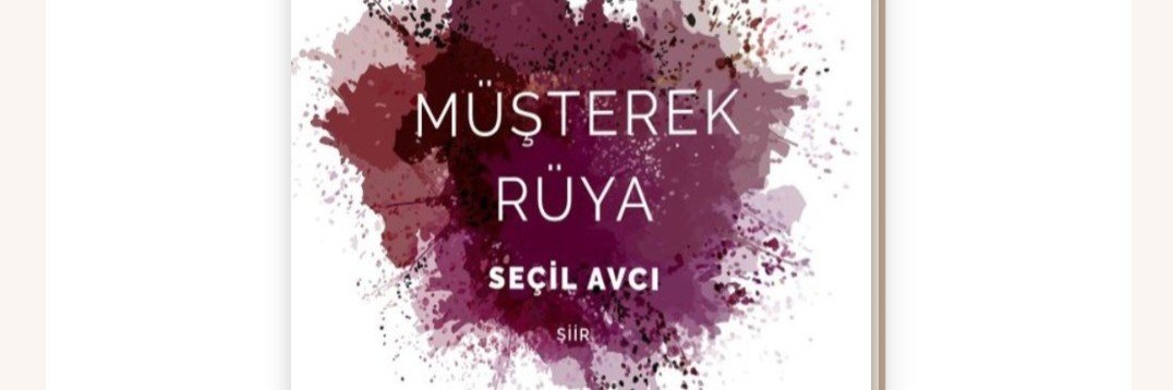 SECLAVCI's profile banner image