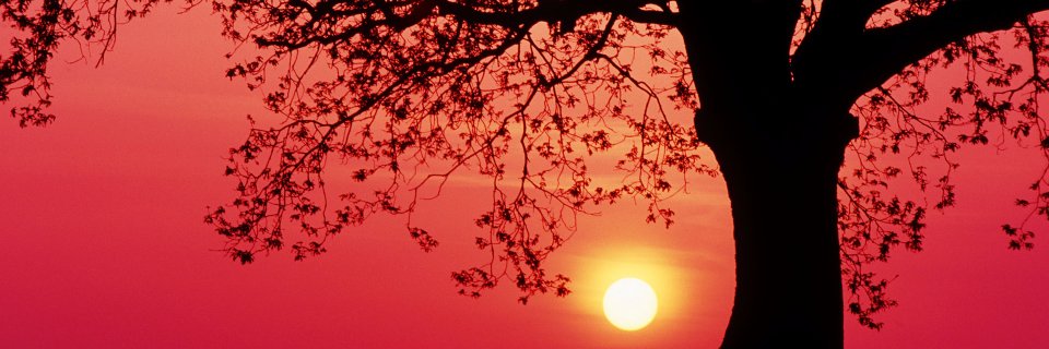 Rusty_Shannon1's profile banner image