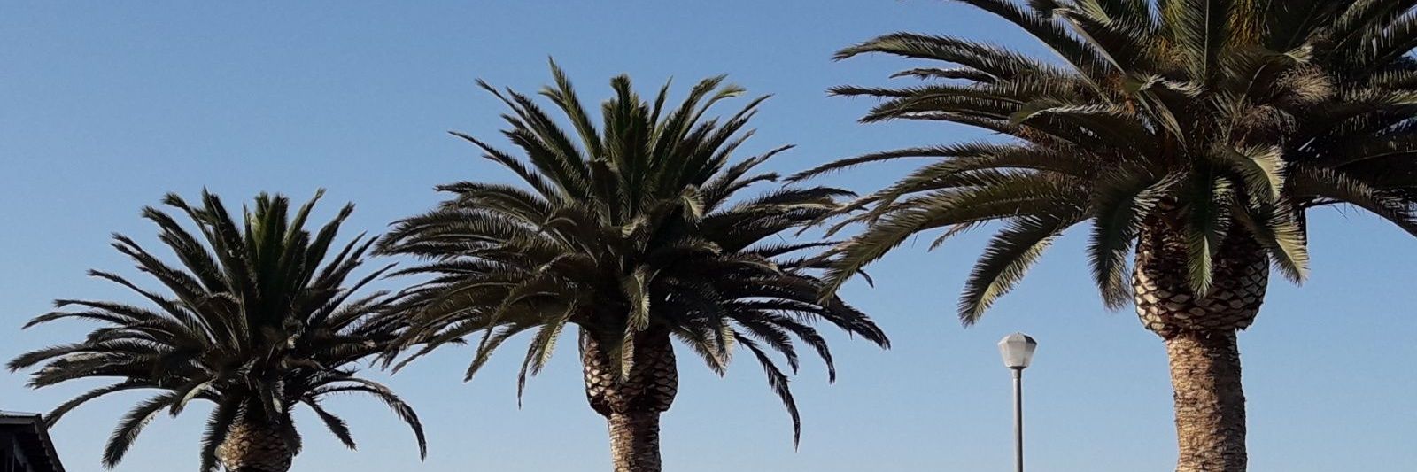 GeRostellato's profile banner image