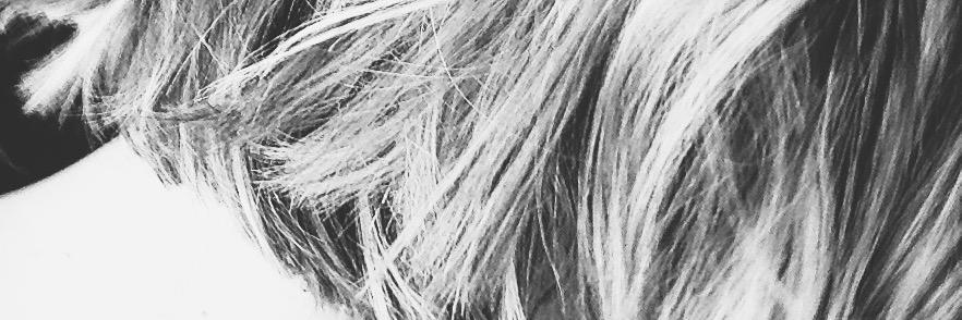 ereborre's profile banner image